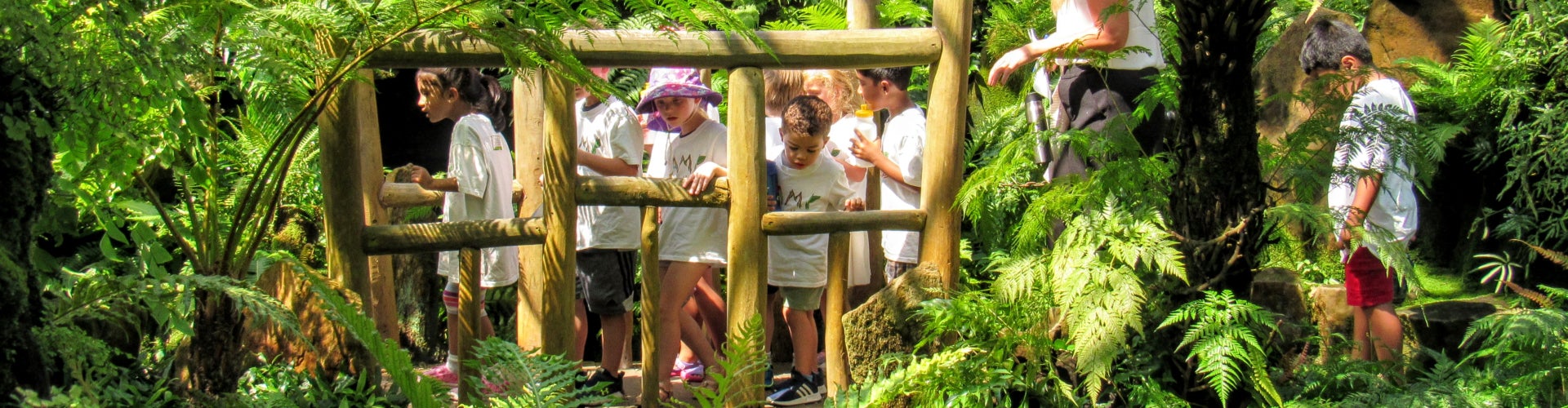 A group of young students look over a bridge in a greenhouse filled with ferns. 