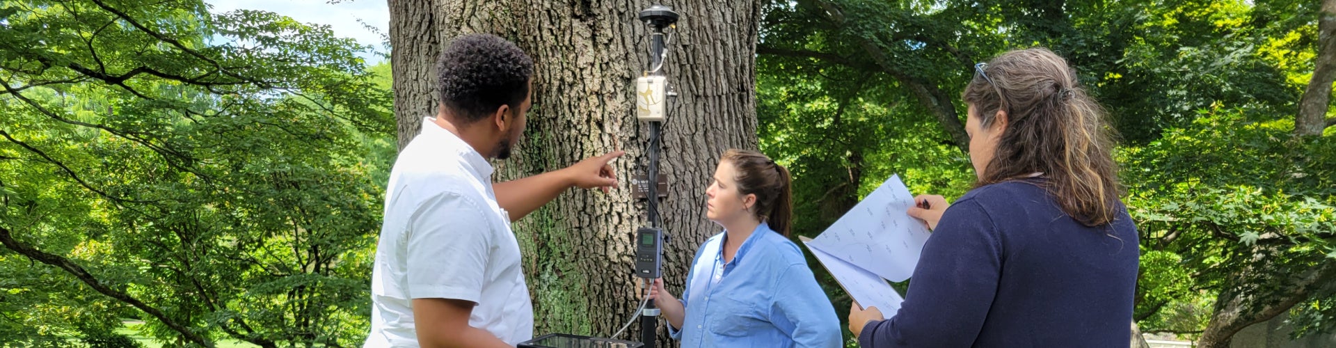 Three people stand next to a tree with equipment used to map the locations of plants in a public garden. 