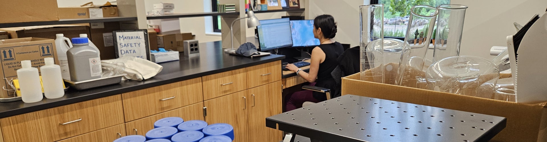 A woman sits at a computer in a plant science lab filled with test tubes and other equipment.