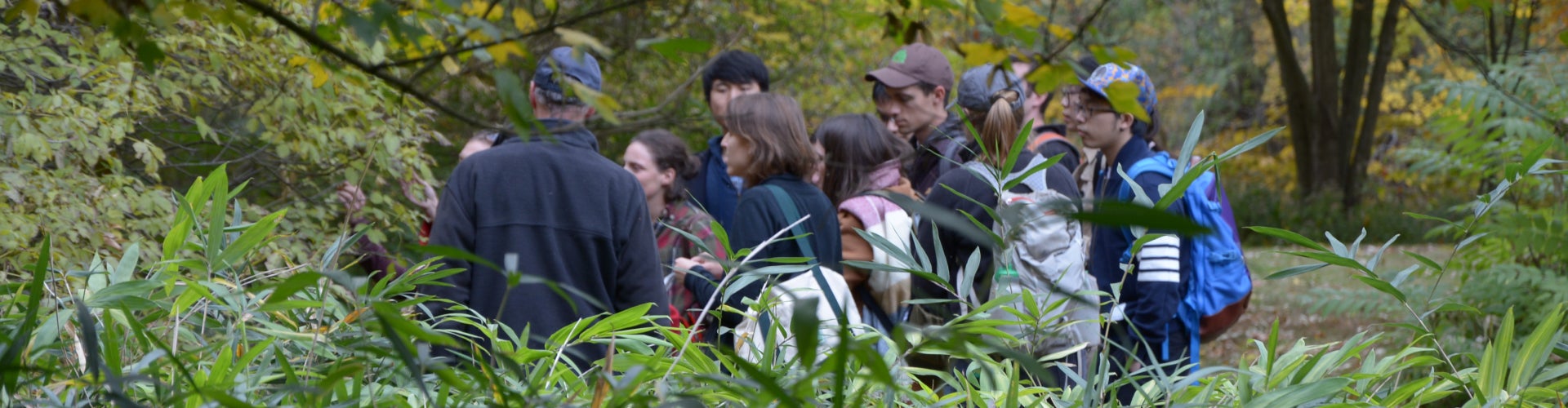 A group of people in the background on a fall day in a public garden on a guided tour. 