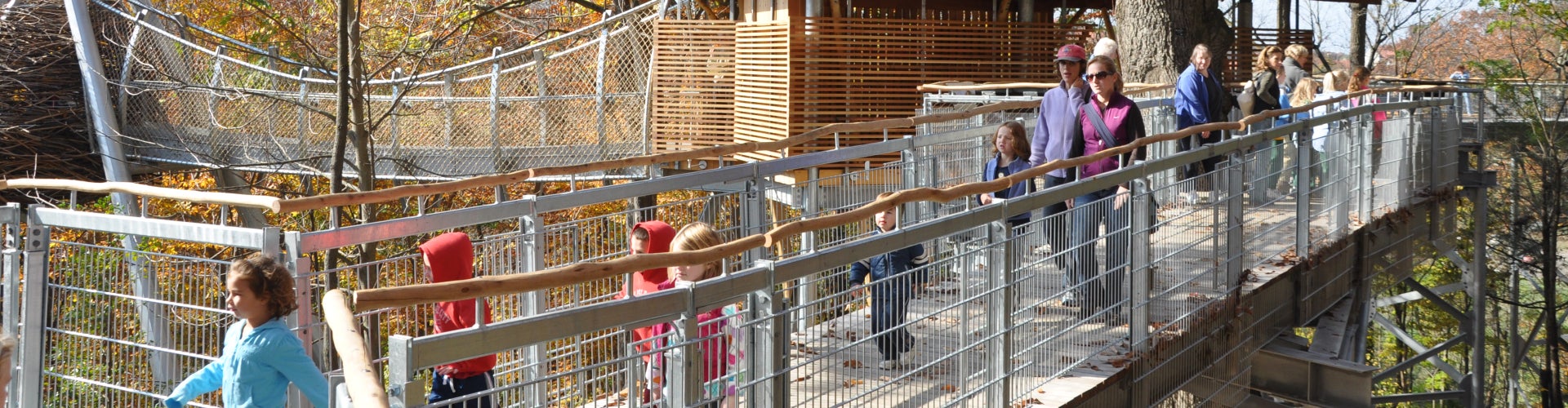 People walk along a medal and wood boardwalk in the treetops in fall. 