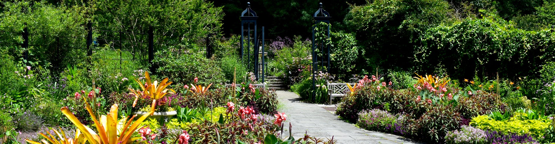 A garden in bloom with a concrete path running through the middle, a wrought-iron gate, and wooden benches. 