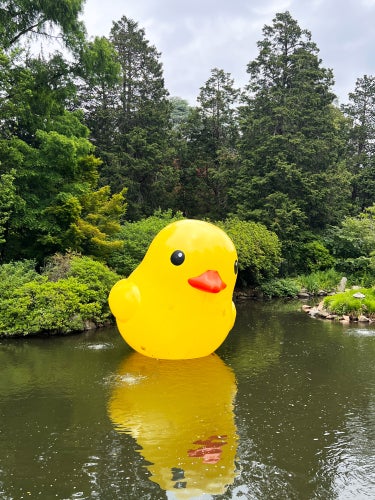 Large inflatable yellow duck with orange beak on a pond