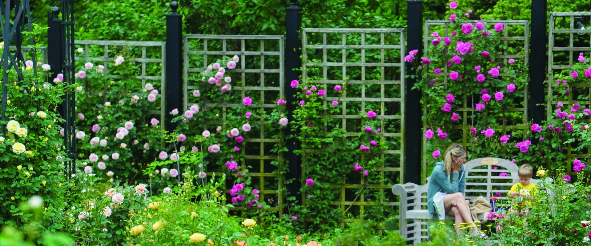 A woman and young boy sit on a wooden bench surrounded by climbing roses on a metal and wood fence. 