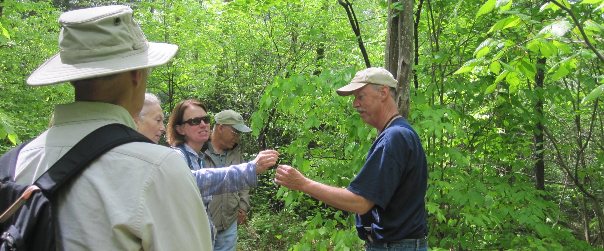 A group of people in the woods passing around a plant. 