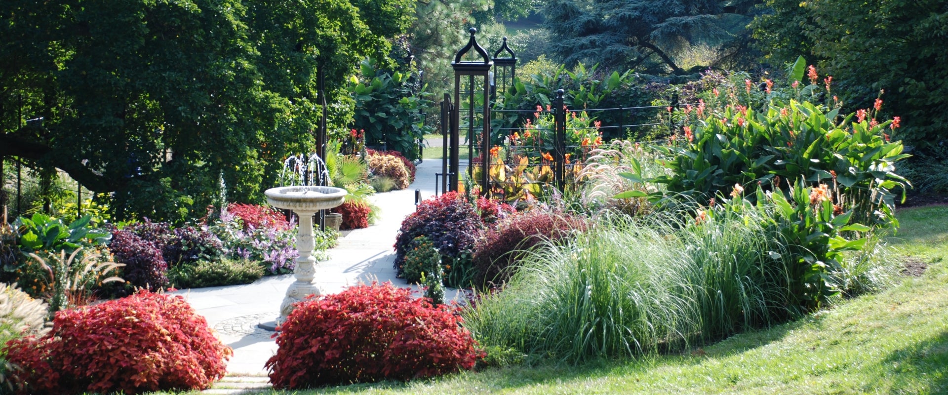 A garden filled with plants and flowers in bloom with a black wrought iron gate. 