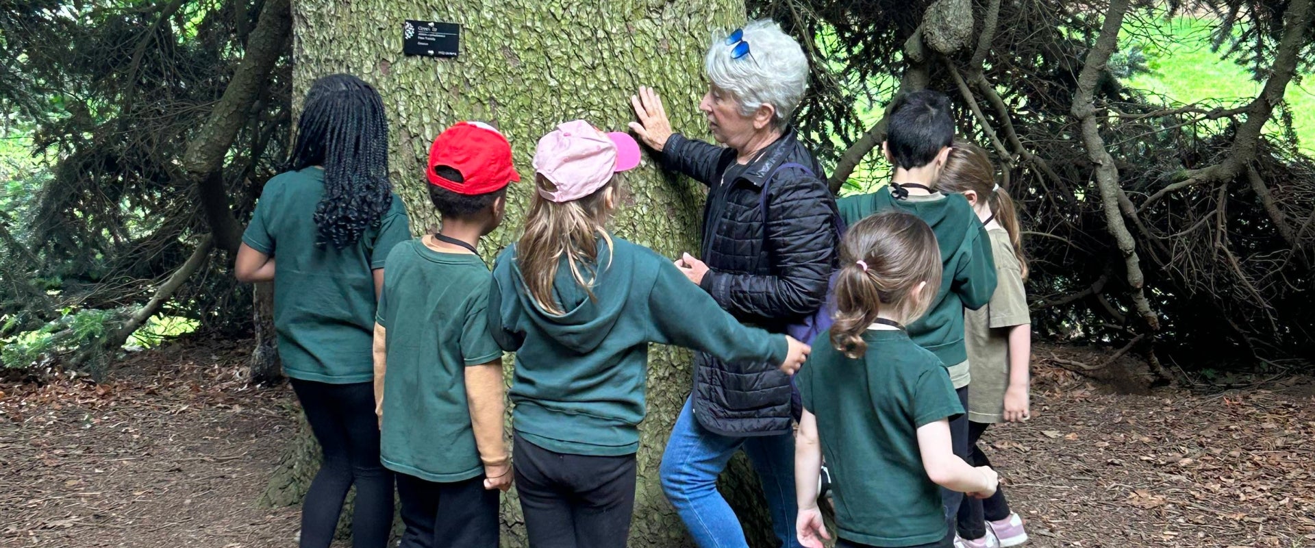 An older woman places her hand on the trunk of a tree while talking to a group of young children.