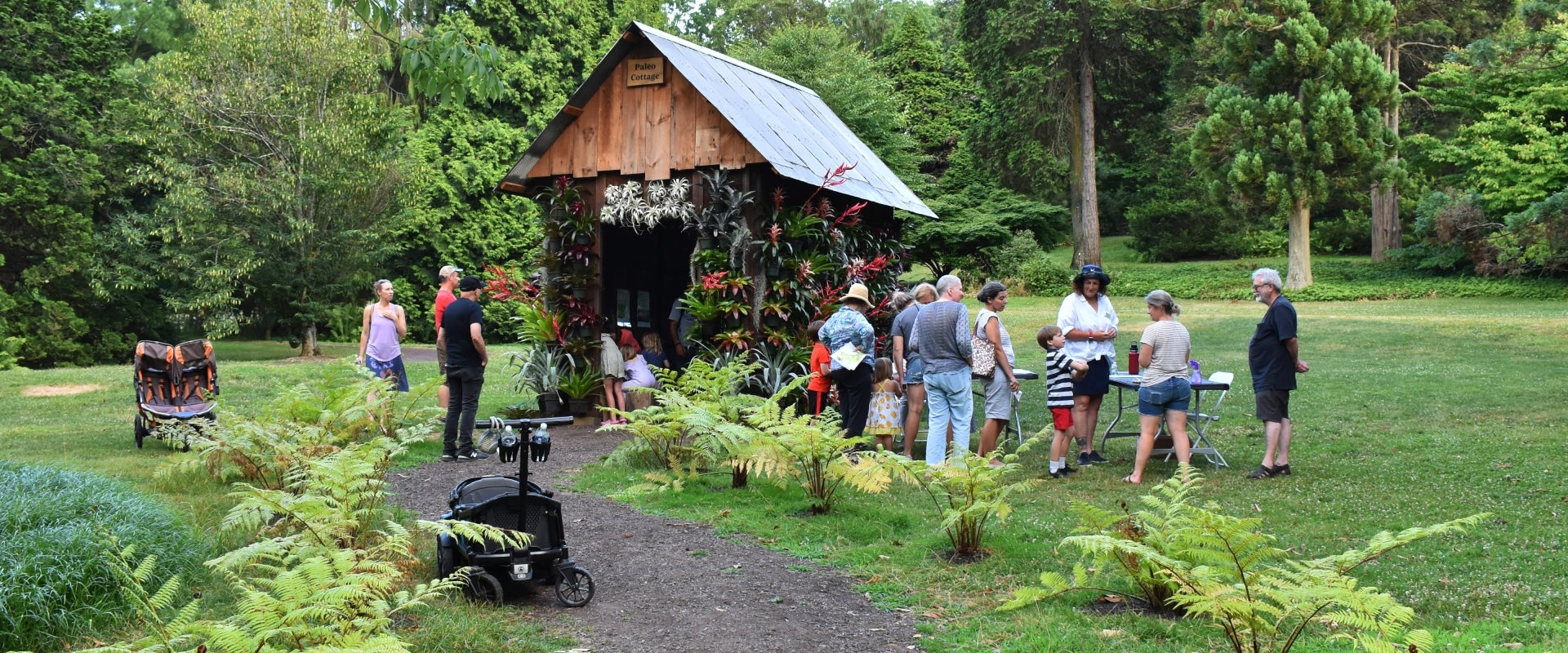 A small cottage covered in plants with a group of people taking part in a activity outside. 