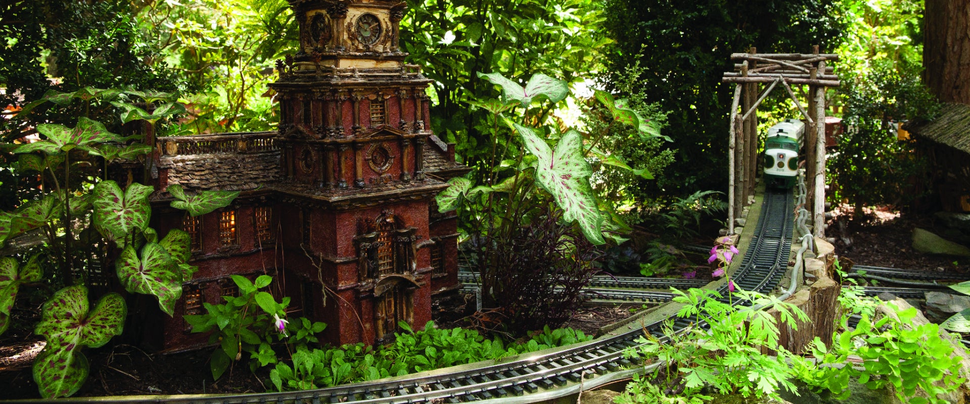 A small model train runs through a miniature landscape filled with plants and flowers. 