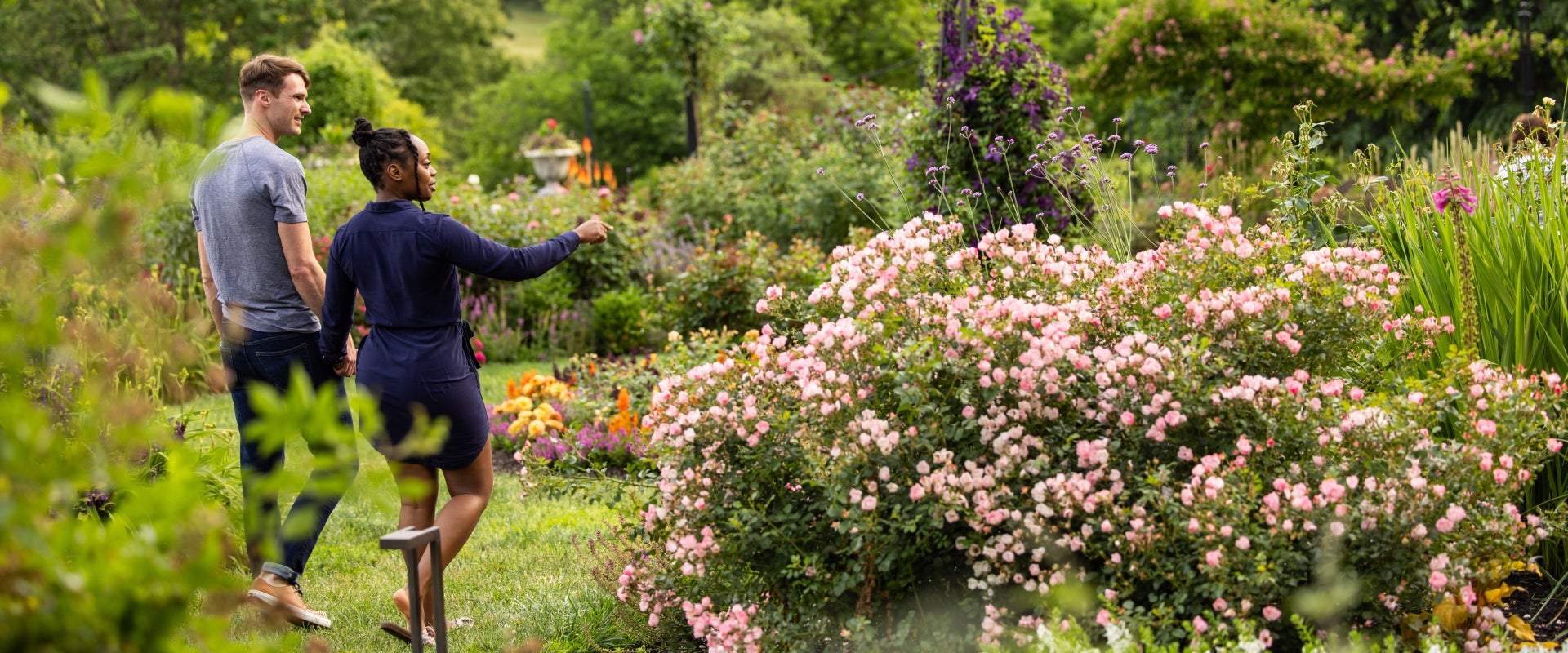 A man and woman hold hands while walking through a blooming rose garden, admiring the flowers.