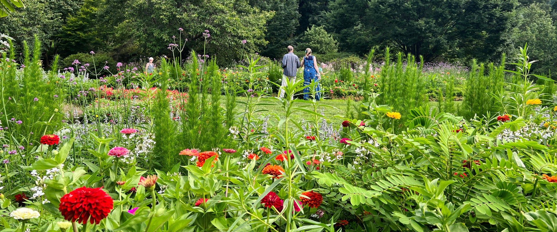 In the background, a couple stands with their backs toward the camera admiring a garden in bloom. 
