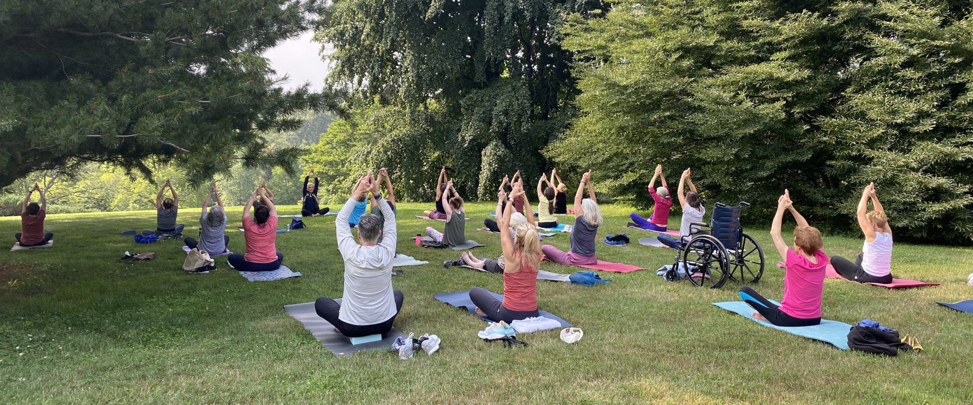 A group of people sit on yoga mats outdoors with their arms raised outdoors surrounded by trees.