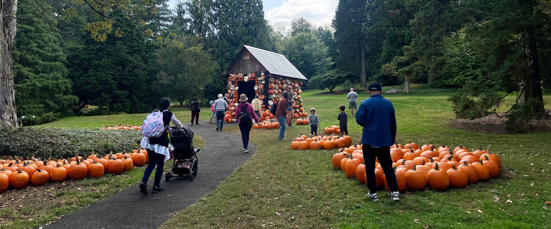 A large group of families walk around a small cottage covered in pumpkins in an outdoor garden setting. 