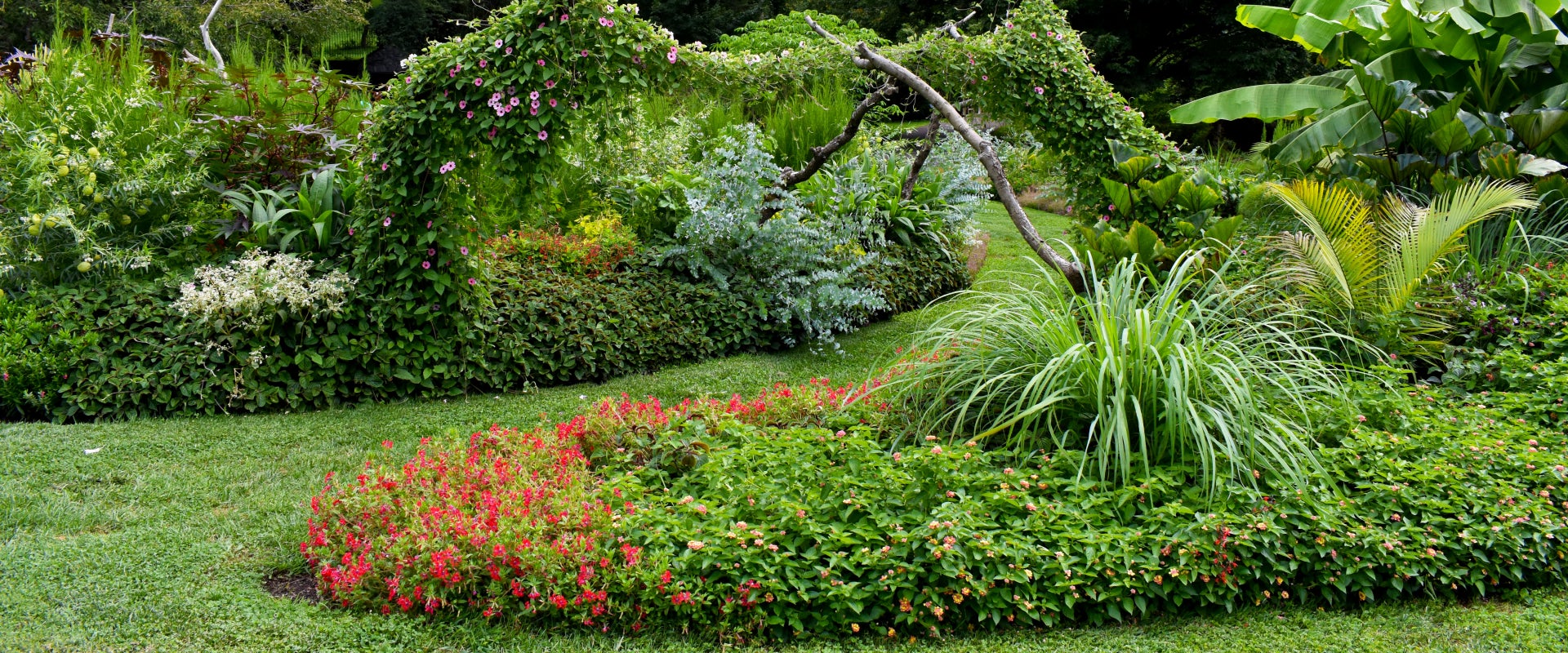 A garden in bloom featuring repurposed tree limbs to construct a trellis for flowering vines. 