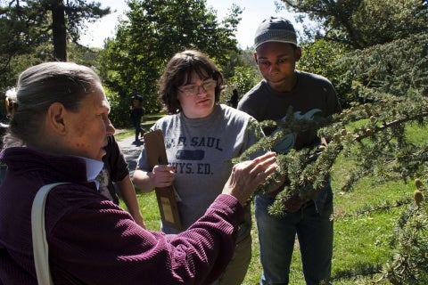 A garden volunteer looks at a tree branch with an older woman and young boy. 