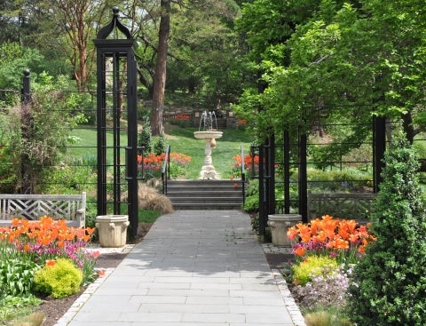 A stone pathway bordered by orange, green, and white flowers that leads to an iron gate with steps and a fountain beyond. 
