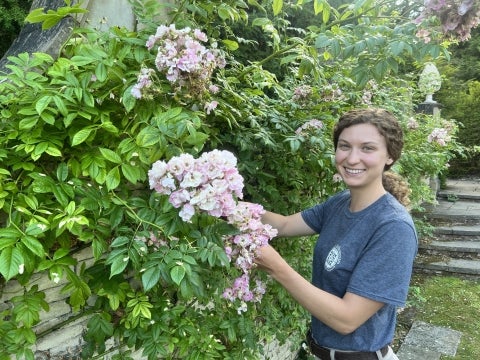 A woman in a blue t-shirt smiles with her hands in a pink rose bush.