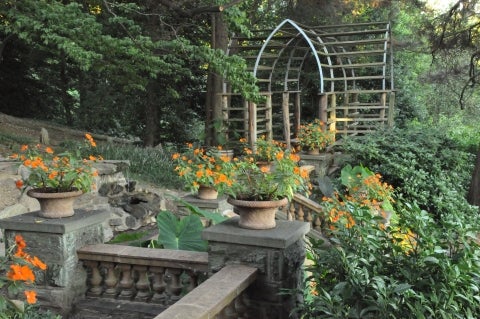 A balustrade and a wooden terrace decorated with stone planters filled with orange flowers. 
