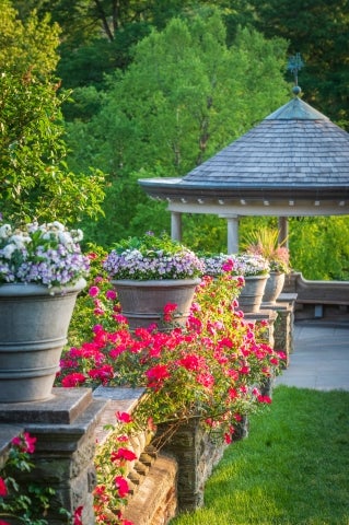 A row of planters with overflowing purple and pink flowers lead to a garden summer house. 