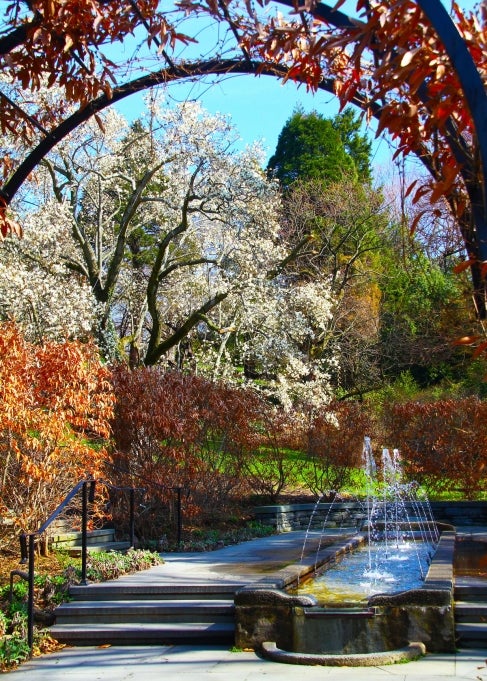 A long fountain surrounded by orange foliage and white flowering trees. 