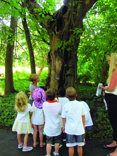 A garden volunteer points up at a tree while a group of children looks up. 