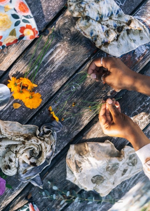 Two hands hold dried flowers.