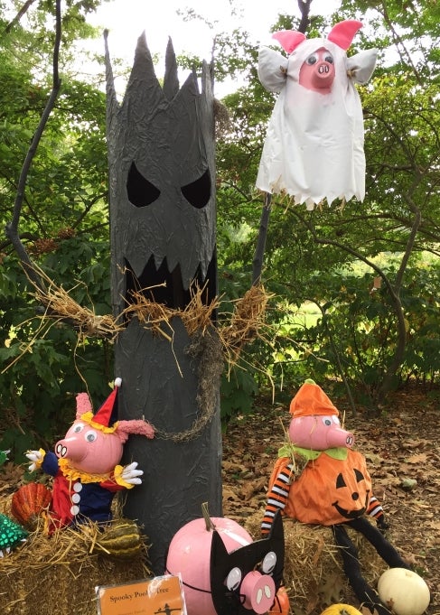Halloween scarecrows in a public garden. 