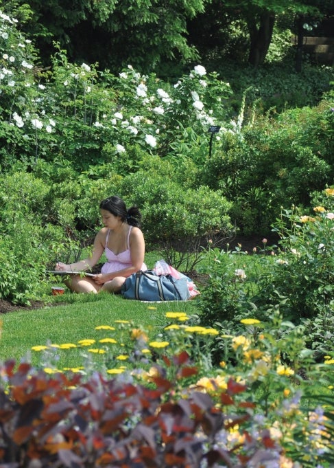 A woman sits in the grass of a blooming garden surrounded by colorful foliage and flowers while painting. 