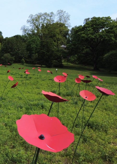 Bees, Butterflies & Blooms: A Pollinator Paradise | Morris Arboretum ...