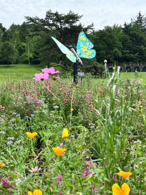 A large, colorful butterfly sculpture in the middle of a meadow in bloom with wildflowers. 