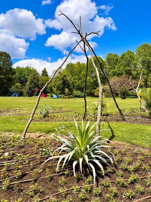 A large garden feature reclaimed wood pieces in the design.