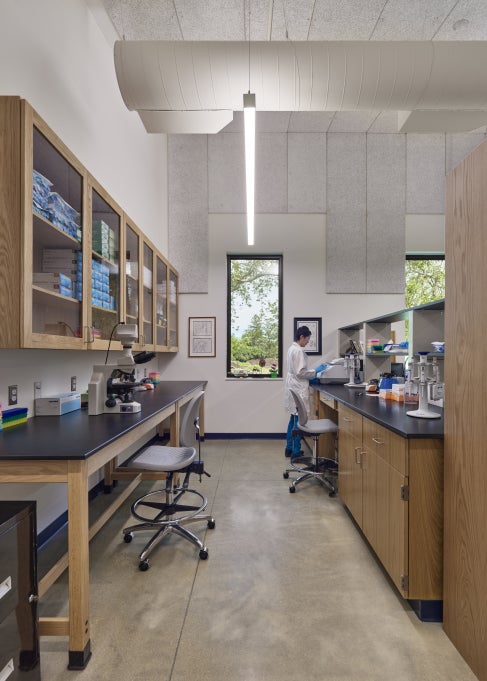 A science laboratory with microscopes and other equipment, with a scientist in the background working. 