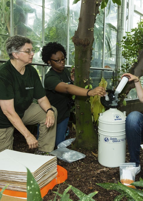 Two young woman collect plant matter into a large white vessel in a greenhouse. 