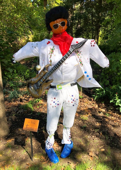 A scarecrow designed to look like Elvis Presley outdoors in a public garden. 
