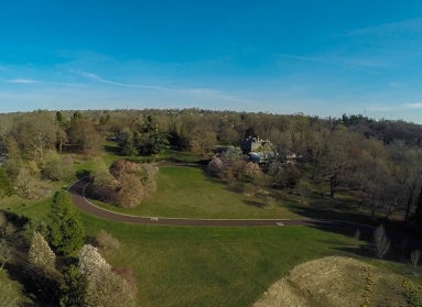 overhead view of trees