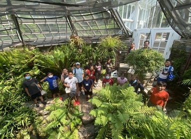 overhead view of a group of adults and children in a greenhouse