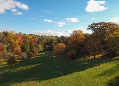 view of trees with fall foliage colors