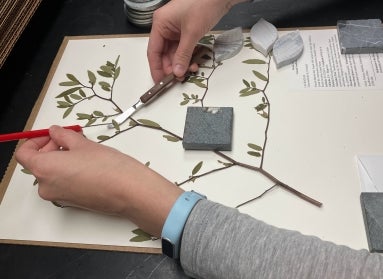 Two hands holding mounting tools adhere plant matter onto white board. 