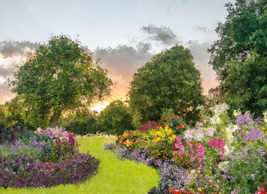 A rendering of a garden in bloom at dusk. 