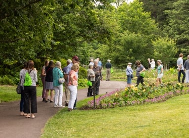 A large group of people in a public garden. 