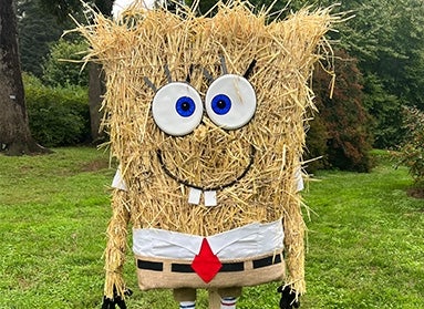 A scarecrow made to look like SpongeBob SquarePants.