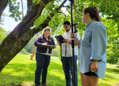 Two women and a man stand near a tree with computer equipment in their hands.