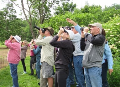 A group of people in a green outdoor spaces look up at the sky with binoculars.