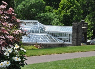 A glass greenhouse in the background with pink and white flowers in the foreground. 