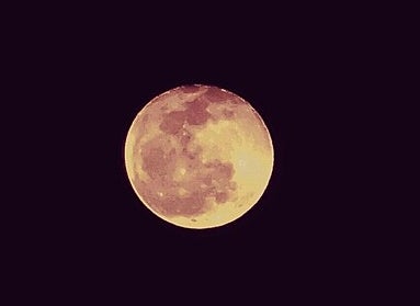 A photograph of the full moon against a black, starless sky. 