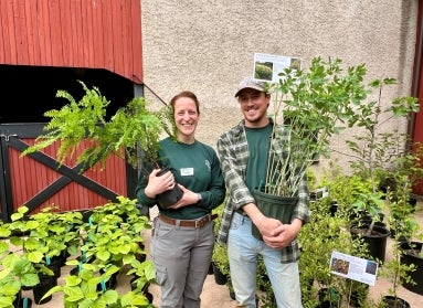 A woman and a man dressed in green shirts hold large potted plants outside of a barn.