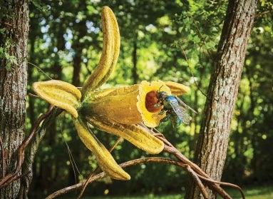 A large fabricated daffodil with a green fabricated bee hovering in front of it. 