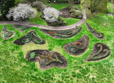 An aerial view of eight paisley-shaped garden beds.
