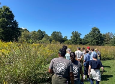 A group of people stand in a meadow looking at the foliage. 