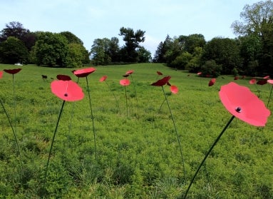 Larger-than-life sculptures of red poppies in a meadow on a cloudy day.
